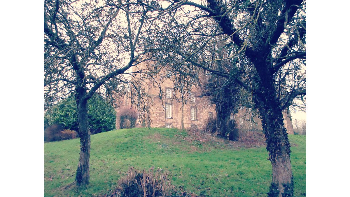 Images takes with the Canon Powershot Ixus 285 HS A