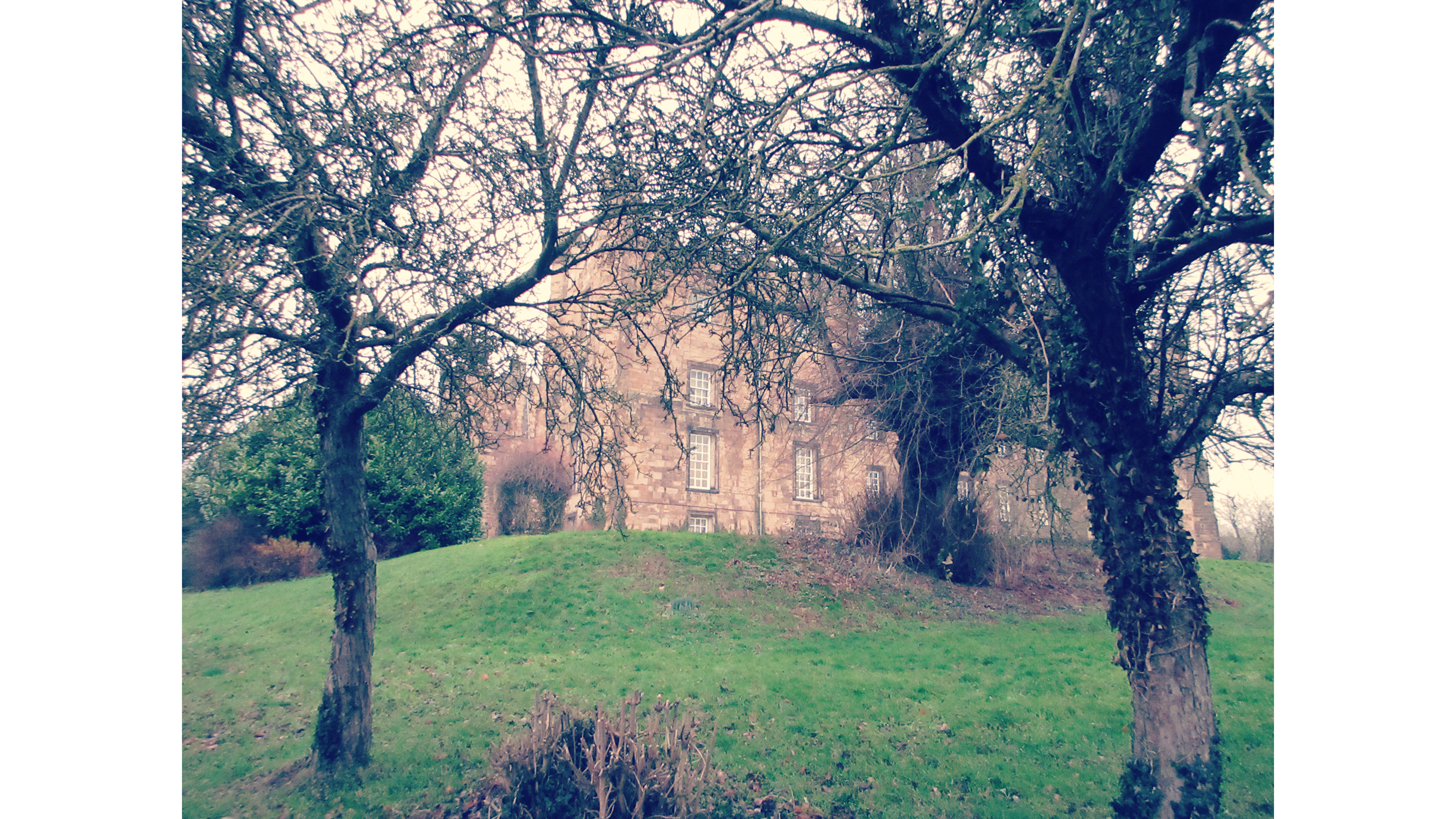 Images takes with the Canon Powershot Ixus 285 HS A