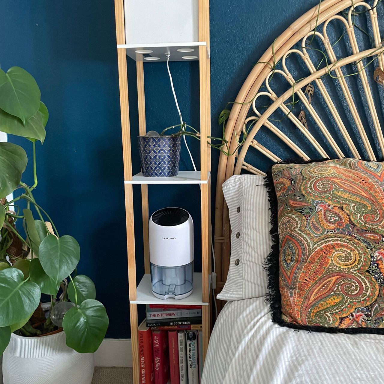 Lakeland dehumidifier on a lamp stand with a plant on one side and a bed on the other