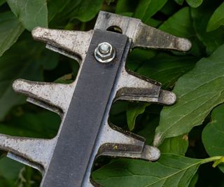 A dirty hedge trimmer blade up close