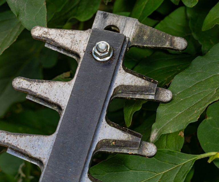 How to sharpen hedge trimmer blades safely and quickly | Homes and Gardens