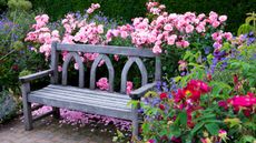 bench surrounded by flowers