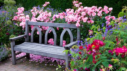 bench surrounded by flowers