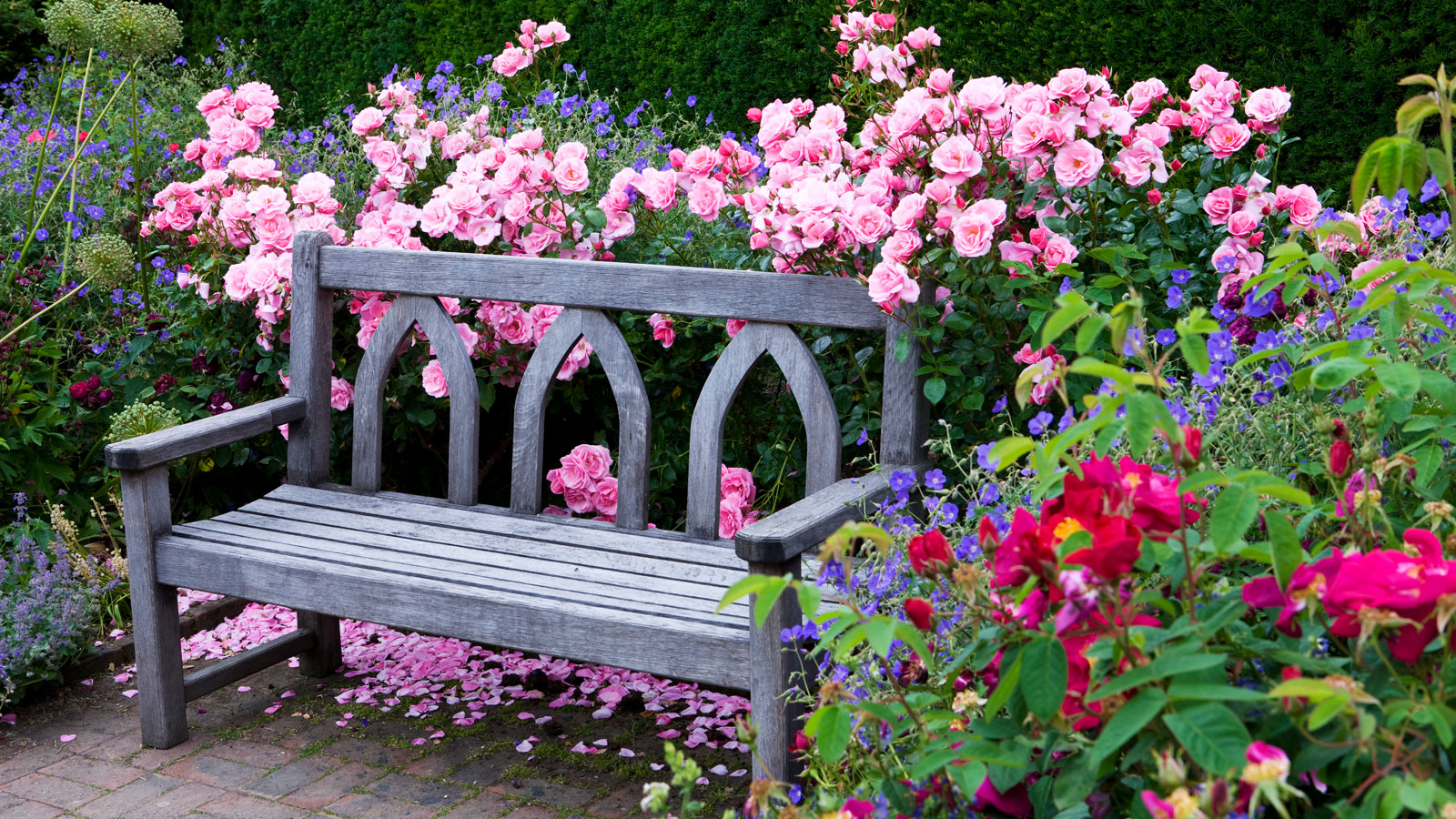 Monty Don's brilliantly simple tip for building raised beds in the