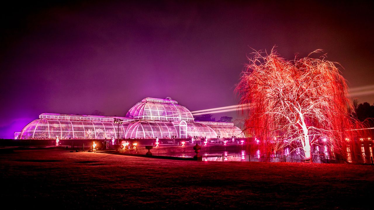 kew_gardens_christmas.jpg