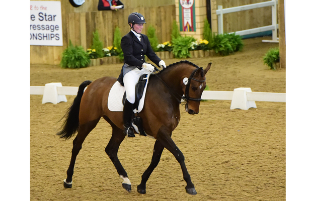 Lucy Megginson - Briet Crusader