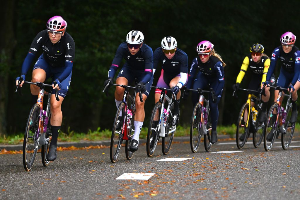 ARNHEM NETHERLANDS OCTOBER 13 LR Quinty Ton of The Netherlands and Team Liv AlUla Jayco Femke Gerritse of The Netherlands and Lorena Wiebes of The Netherlands and Team SD Worx Protime lead the peloton during the 26th Simac Ladies Tour 2024 Stage 6 a 1458km stage from Arnhem to Arnhem UCIWWT on October 13 2024 in Arnhem Netherlands Photo by Luc ClaessenGetty Images