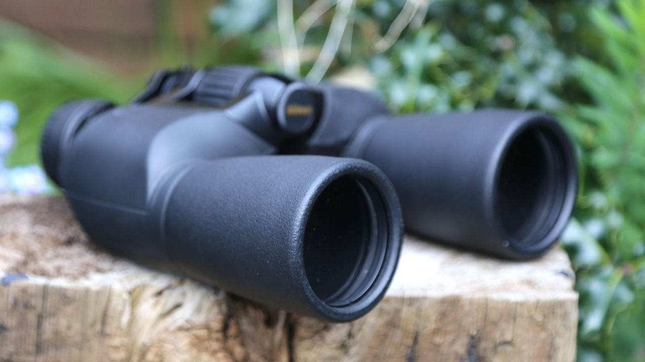 Nikon Action EX 12x50 binoculars
