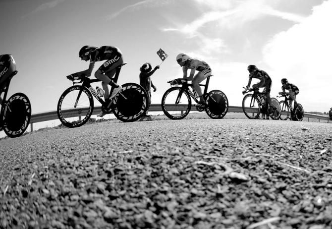 Tour de France 2011: Les Essarts. A fan dressed as a furry koala bear waves on champion-in-waiting Cadel Evans
