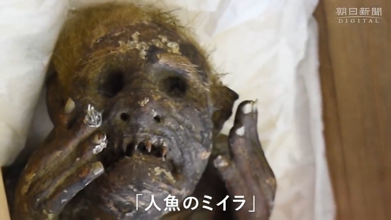A lose-up of the mermaid's hands reaching towards its anguished face.