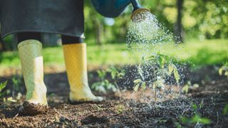 picture of woman watering ground in wellies