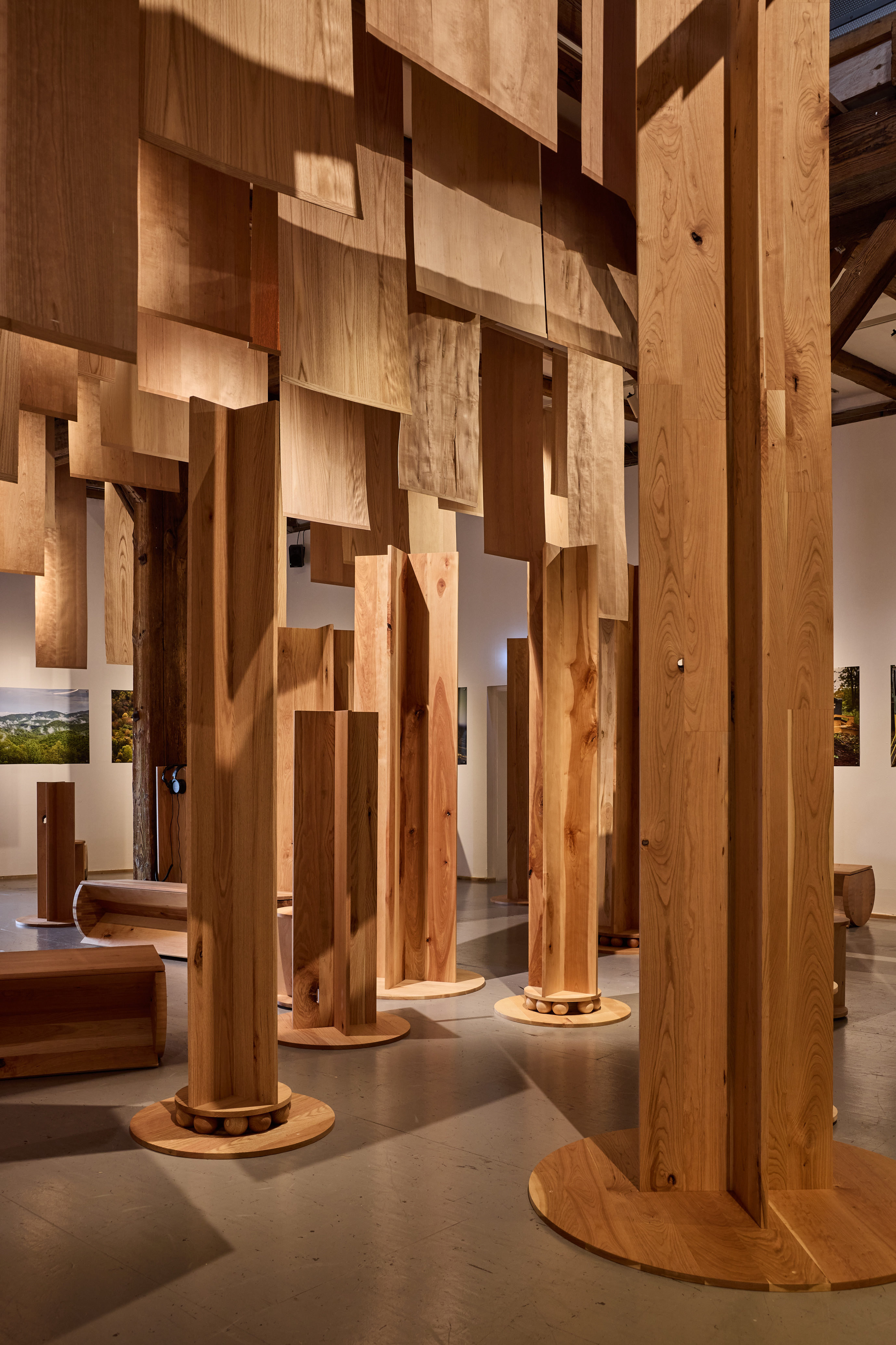 view of timber installation by ahec, Wood for the Trees Exhibition @ Material Matters