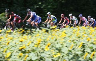 It's the Tour de France and you have to shoot the sunflowers!
