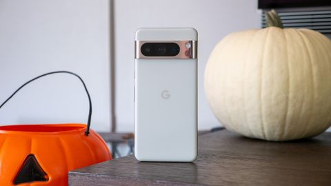 pixel 6 pro vs pixel 8 pro camera comparison