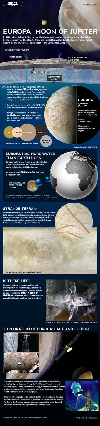 Scientists are eager to learn if Europa's huge subsurface ocean harbors alien life. See how Jupiter's icy moon Europa works in this SPACE.com infographic.