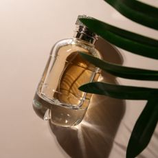 Golden perfume with palm leaf on beige background, glamorous glass bottle, luxurious packaging