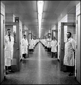 photograph of lab scientists