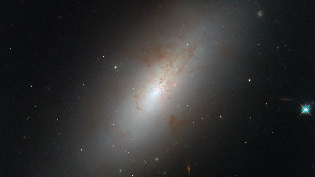 An image of NGC 4694, a smooth, glowing galaxy shaped like an ellipse with barely any star formation