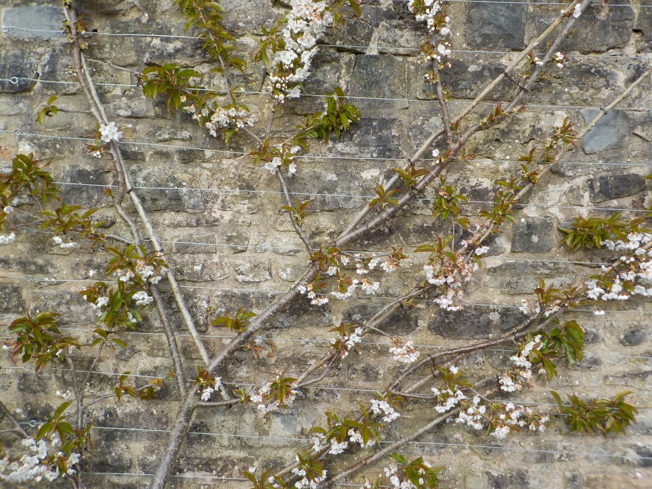 Nikon W150 review Image Samples