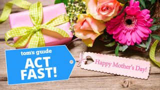 Mother's Day flowers with gift