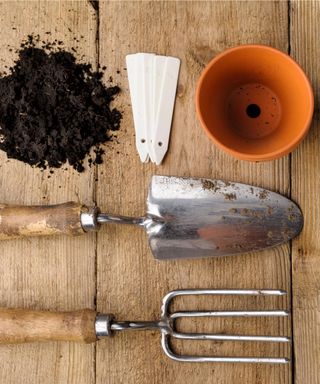 trowel and fork with potting compost, terracotta pot and labels