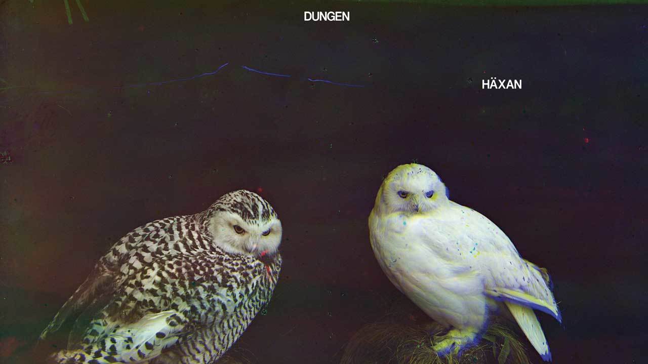 Cover art for Dungen Häxan