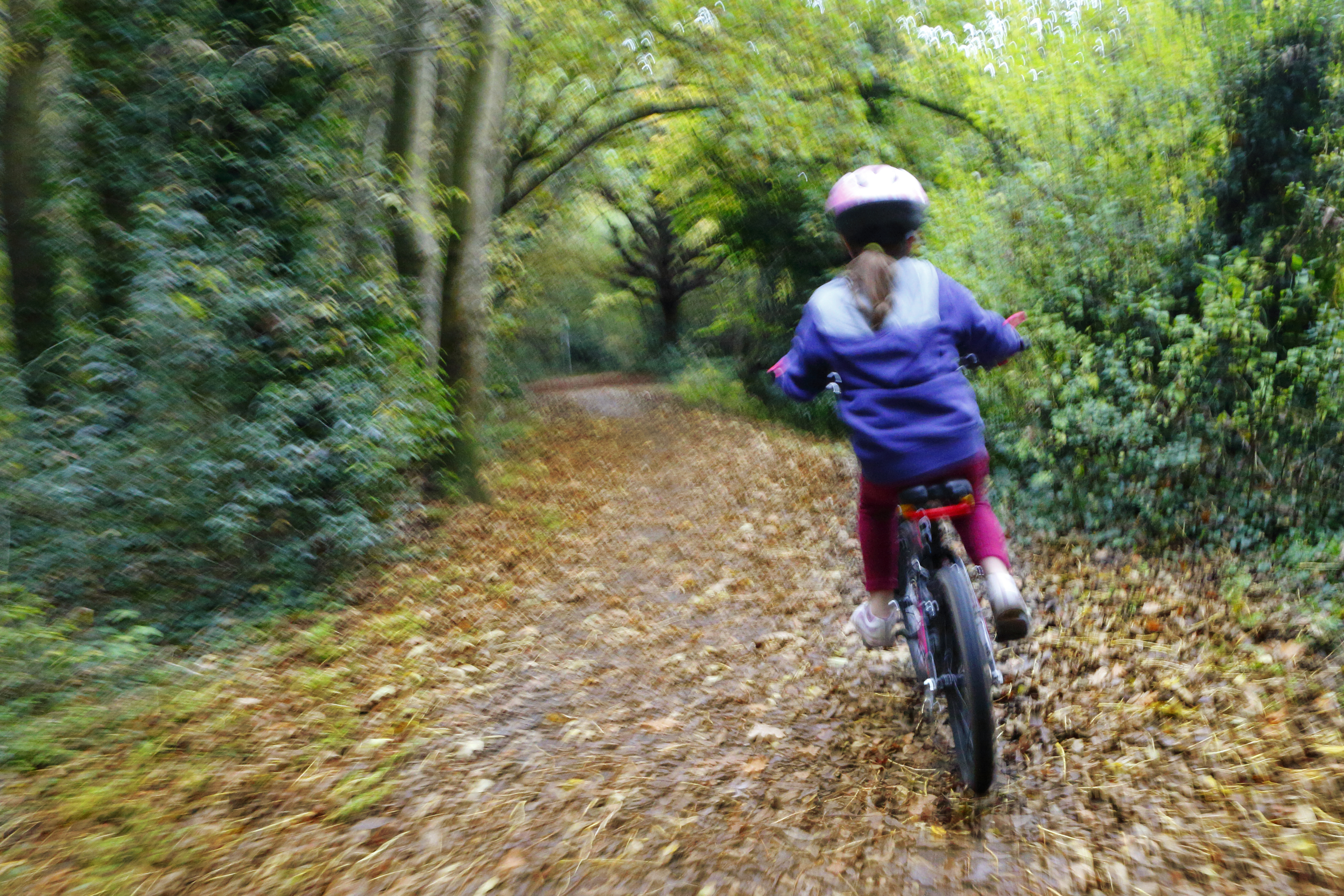 Child cycles through woodland