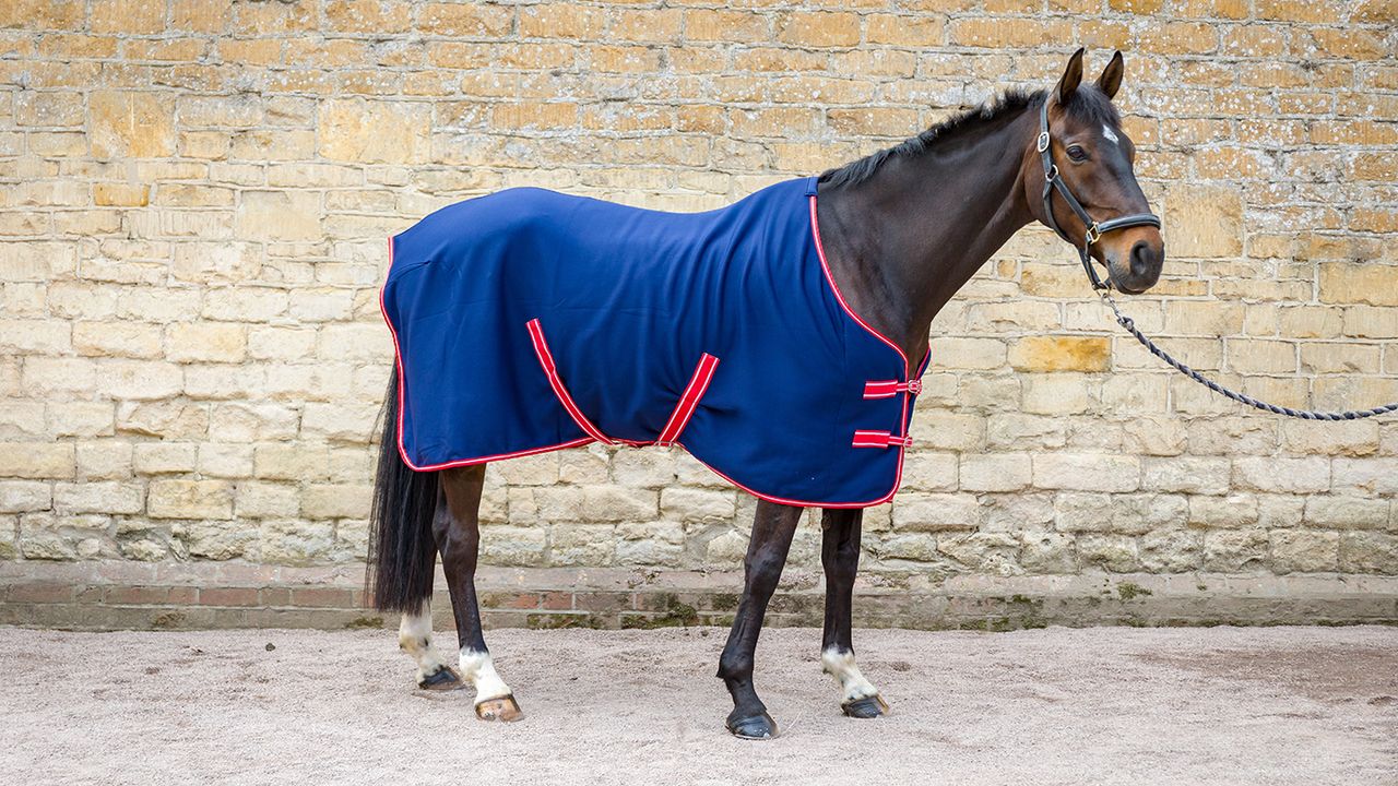 Rhinegold Smart Tec rug