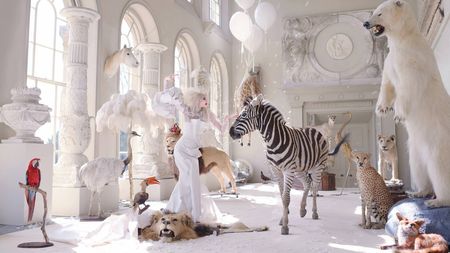 Real Zebra and Model in large mostly white room with a number of stuffed animals