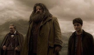 Harry Potter and the Half-Blood Prince's Hagrid looking sad