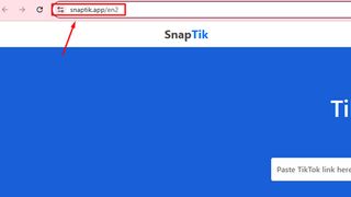 Screenshot of SnapTik website