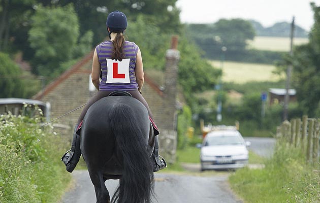 driving test for riders