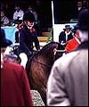 AF603468-FC02-4E9A-AEC3-1F43BADBA6D4.jpg