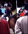 AF603468-FC02-4E9A-AEC3-1F43BADBA6D4.jpg