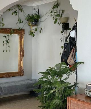 A gray entryway with a gold frame, plants, and a coat stand with bags on it