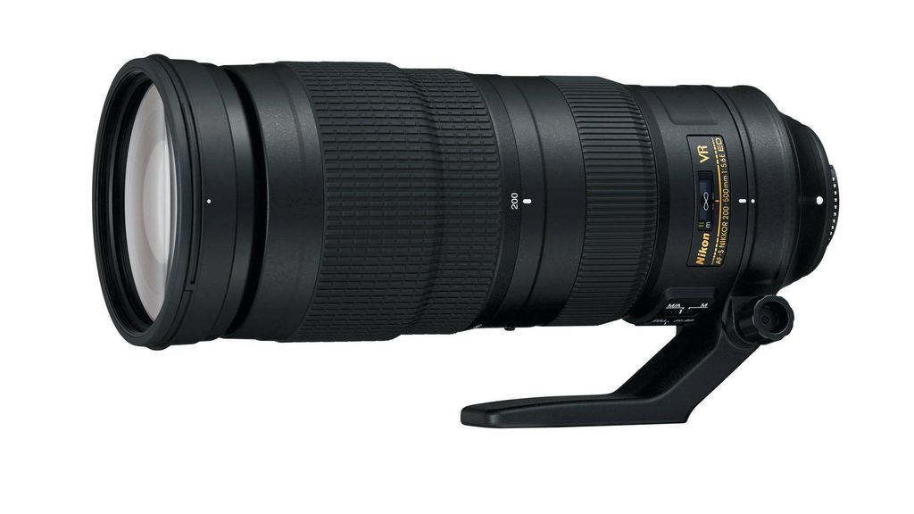 The best lenses for bird photography in 2024 Digital Camera World