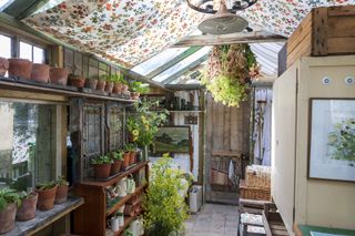 tarling greenhouse shed in flower garden