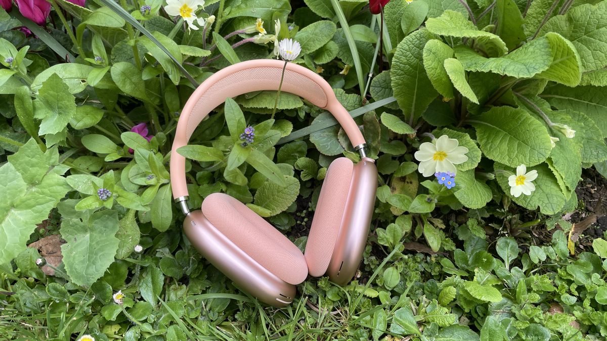 Apple AirPods Max 2 in orange with AirPods Max just visible in purple, outside in a garden on a bench, held in a hand