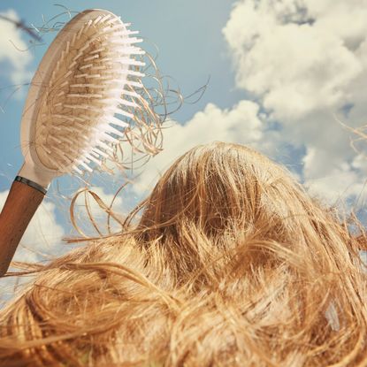 the back of a woman's head with light brown hair against a blue cloud sky with a hairbrush full of loose hair