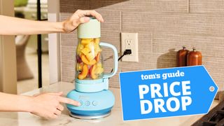 Ninja BlendBOSS shown on kitchen counter