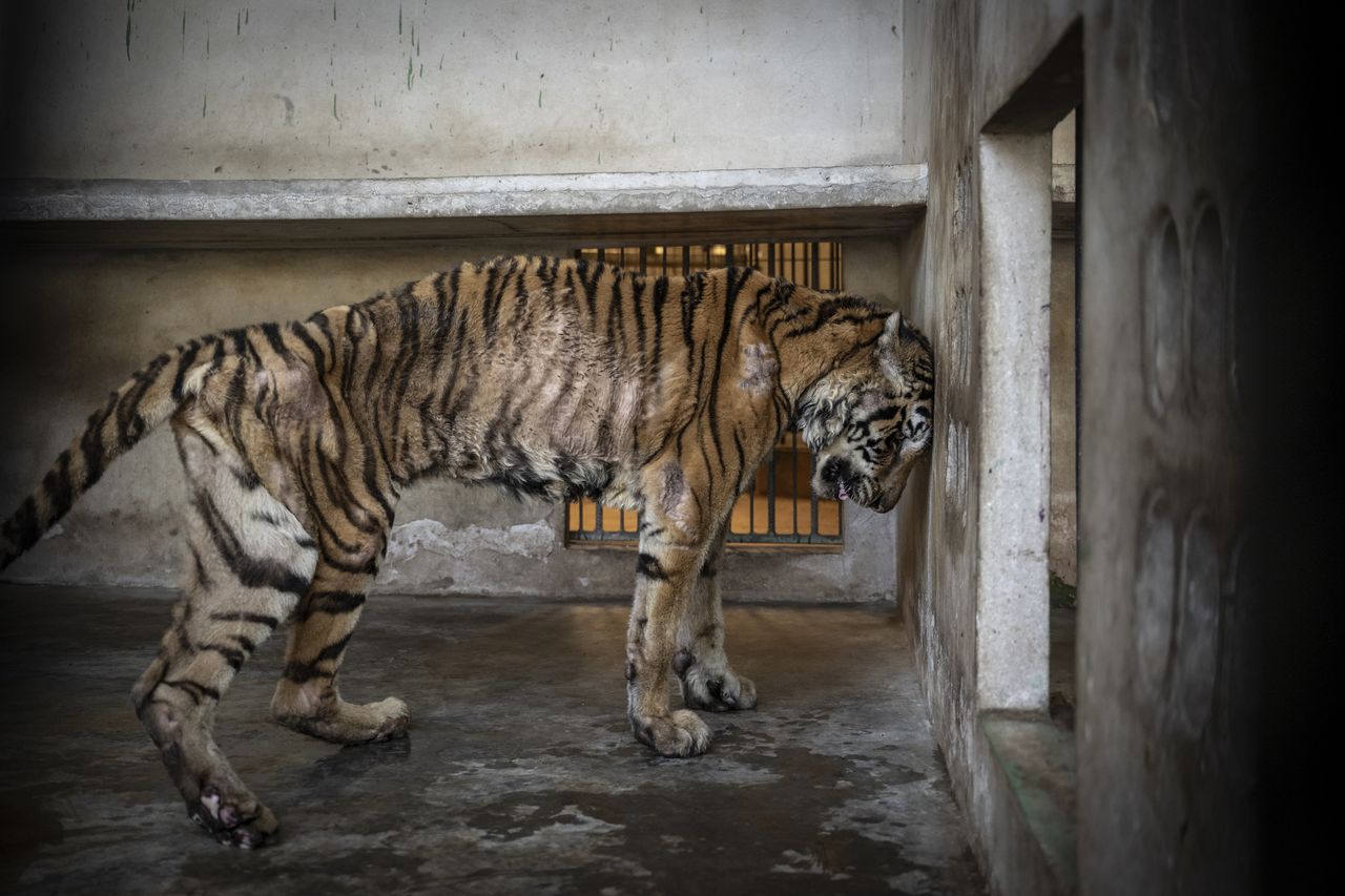 A winning image from the Environmental Photography Awards