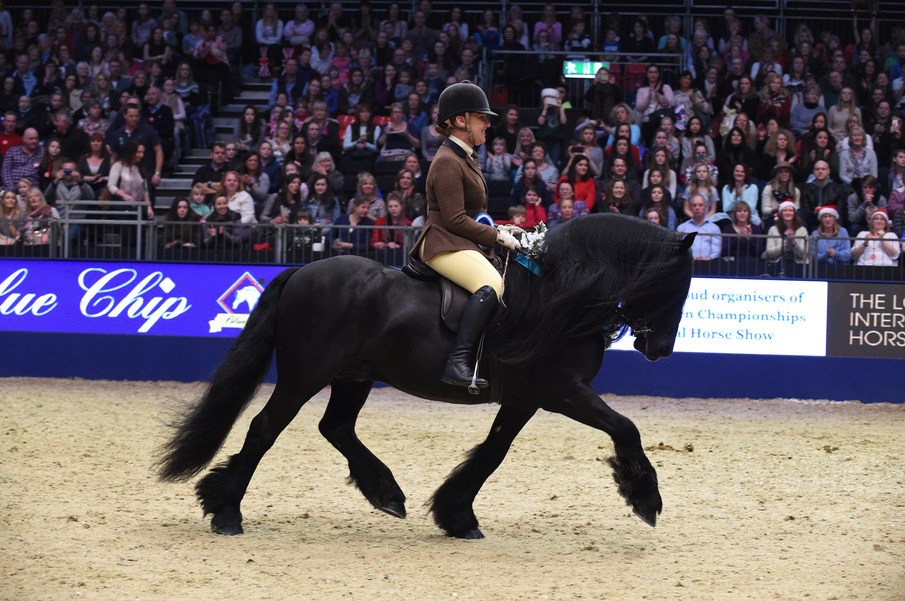 HorseNo11_OlympiaPN15_60823.jpg