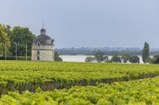 Ch&acirc;teau Latour, Bordeaux