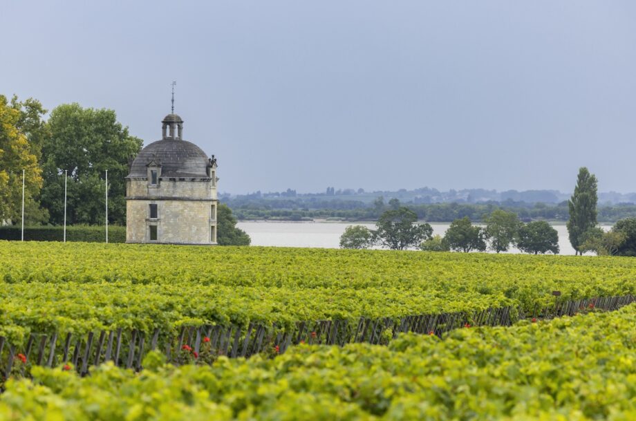 Ch&acirc;teau Latour, Bordeaux