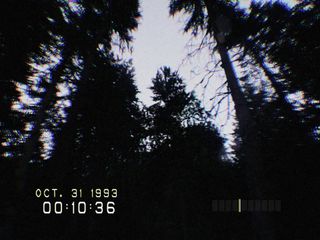 VHS footage of a spooky forest