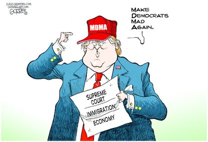 Political cartoon U.S. Trump democrats Supreme Court immigration economy