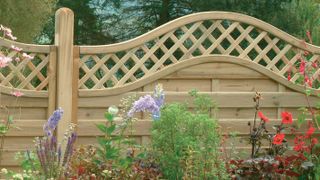 combination fencing with curved trellis