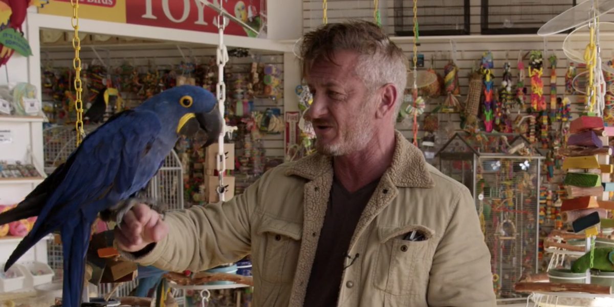 Curb Your Enthusiasm Season 10 Finale Had Tons Of Hilarious A+ Cameos