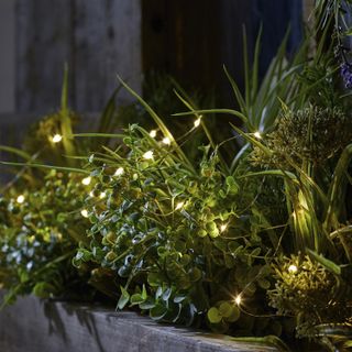 100 Warm White Outdoor Micro Lights from Lights4fun