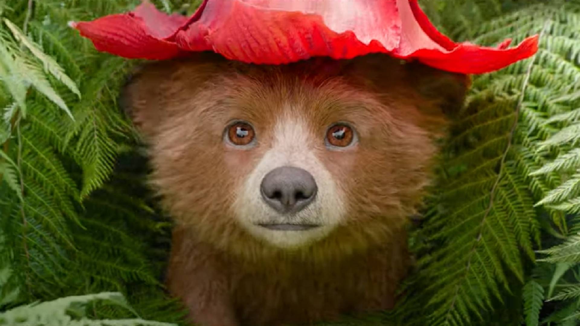 New Paddington 3 trailer charts the bear's wild journey in Peru and gives us our first look at Baby Paddington